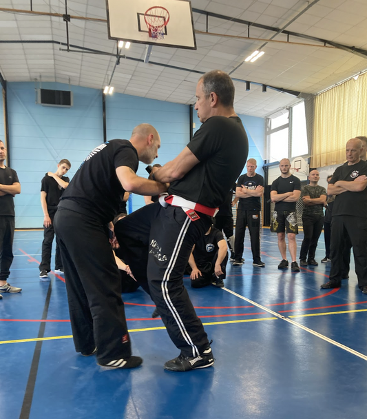 Au cœur du Krav Maga - Les principes fondateurs de cet art martial réaliste